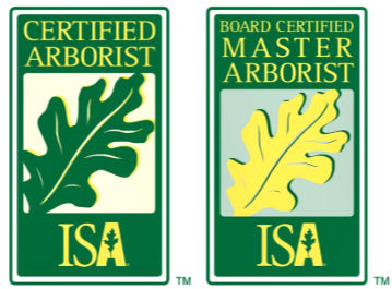 ISA Certified Arborist license for Bellaires Arborist in Bellaire, Texas