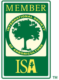 ISA Member certification for Bellaires Arborist in Bellaire, Texas